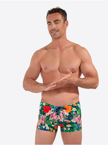 HOM Badeshorts Swim Shorts Peacock in multico print
