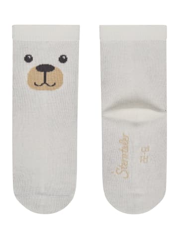 Sterntaler Socken 4er-Pack Eisbär in ecru
