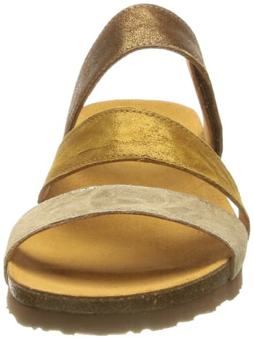 Think! für Erwachsene in kombi