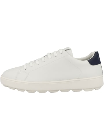 Geox Sneaker low D Spherica Ecub-1 A in weiss