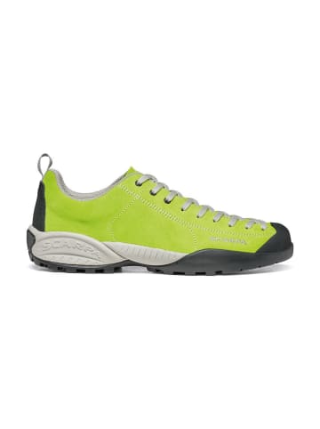 SCARPA Trekkingschuhe low in grün