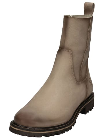 TT. BAGATT Stiefelette in Grau