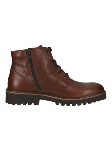 Pius Gabor Stiefelette in Chestnut