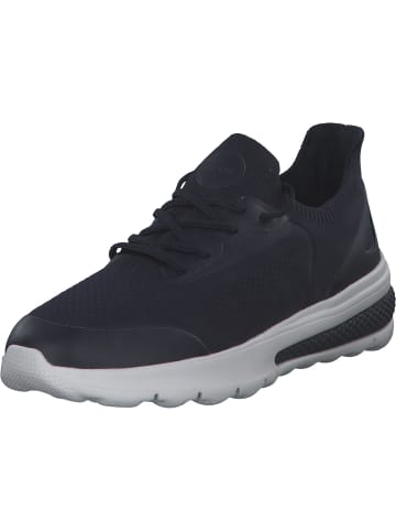 Geox Klassische- & Business Schuhe in Navy