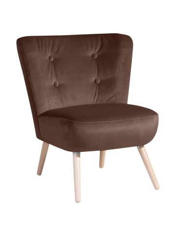 58 aufm Kessel SESSEL Kassi Bezug Samtvelours Buche natur / braun