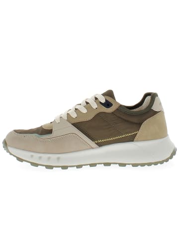 Armata di Mare Sneaker AMU1D929-KHAKI Braun