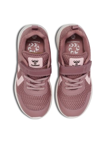 Hummel Hummel Klettverschluss Sneaker Actus Kinder in TWILIGHT MAUVE