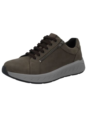 Solidus Sneaker in grau