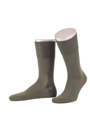 JD J. Dirks Businesssocken C480 in schilf (18)