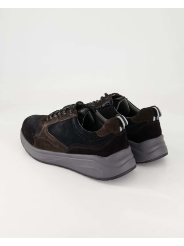 Sioux Sneaker low in Schwarz