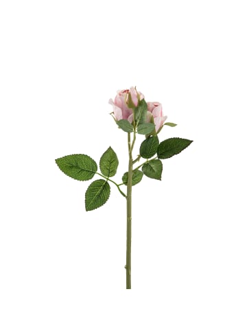 Fink Kunstblume Lilly rose - (H) 40 cm