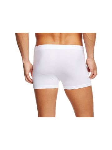 Calida Boxershorts in weiß