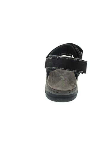 WALDLÄUFER Harald Sandale Schwarz