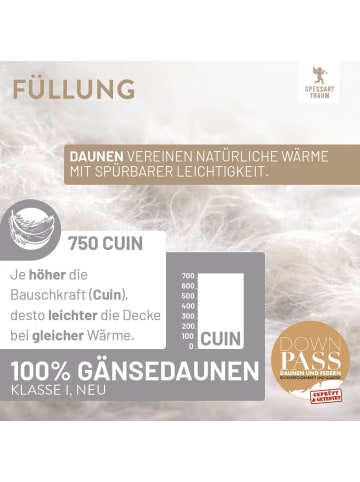 Spessarttraum Warme Gänsedaunendecke "Platin" in weiß
