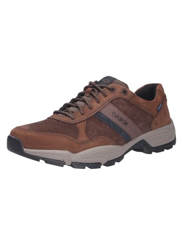 Pius Gabor Sneaker EVOLUTION in braun