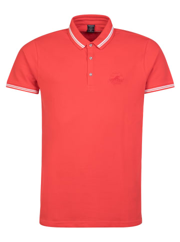 Protest " TED in Poppy Red