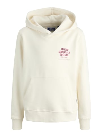 JACK & JONES Junior Hoodie 'Meadows' in beige