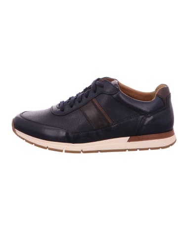 Pius Gabor Sneaker Low in blau