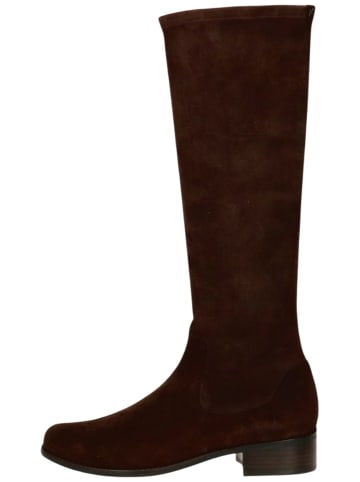 PETER KAISER Stiefel in Dunkelbraun