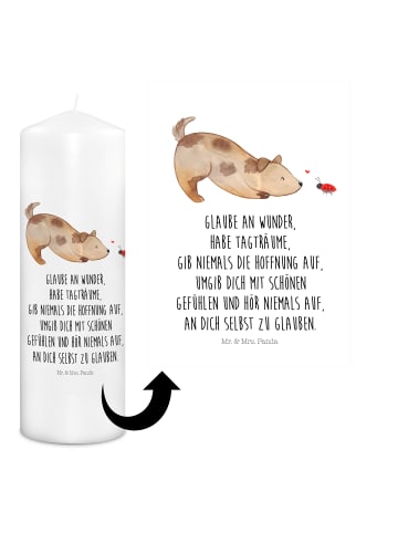 Mr. & Mrs. Panda Wachskerze Hund Marienkäfer mit Spruch in Weiß