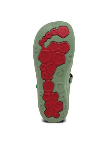 Affenzahn Sandale Breeze Frosch in Grün