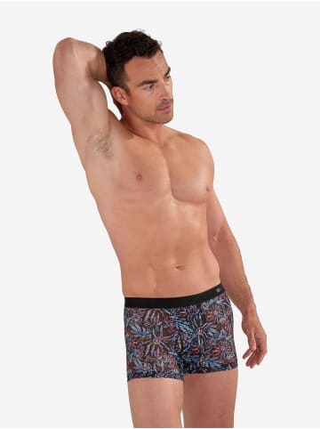 HOM Retro Boxer Boxer Briefs Biscayne in blue print