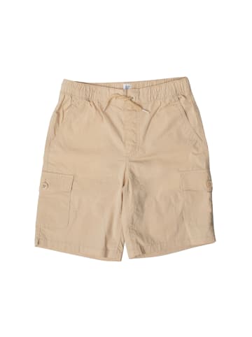 GAP Bermuda in Brown