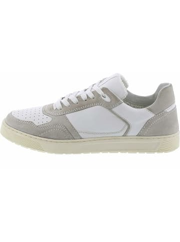Sioux Sneaker für Herren in taupe