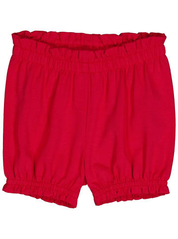 Fred´s World by GREEN COTTON Babyshorts in Salsa