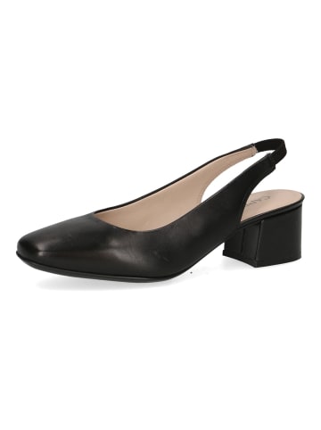 Caprice Pumps in Schwarz