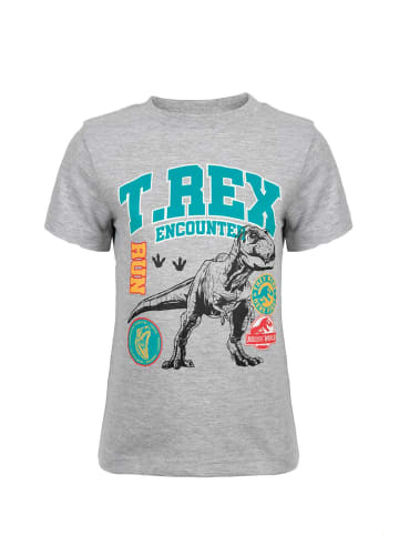 Disney Frozen T-Shirt kurzarm Elsa in Grau