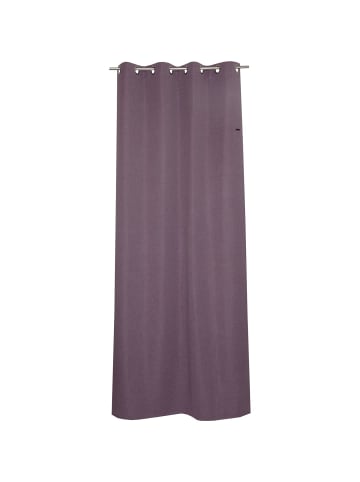 ESPRIT Blickdichter Ösenvorhang HARP in Violett