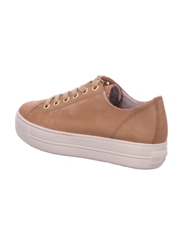 Paul Green Sneaker Low in braun