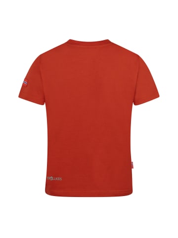 Trollkids Funktionsshirt Falketind T in red clay/mystic blue