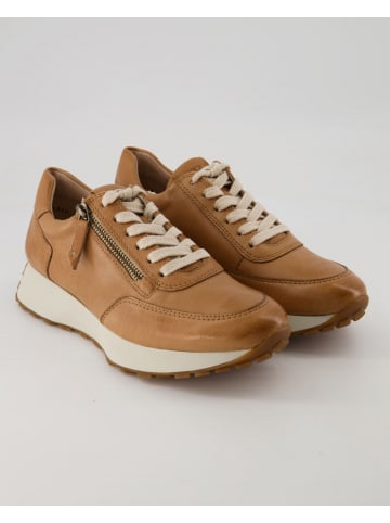 Paul Green Sneaker low in Braun