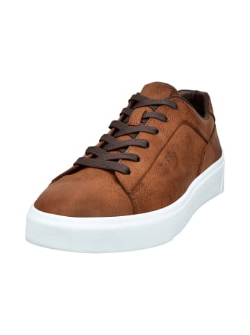 Bugatti Sneaker in braun
