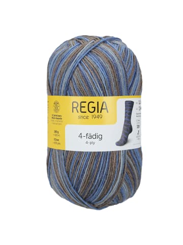 Regia Handstrickgarne 4-fädig Color, 100g in Inspiration color