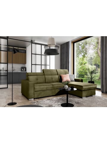 MF Design Falcon Recamiere Rechts in Moos -  (L) 248 x (B) 248 x (H) 95 cm