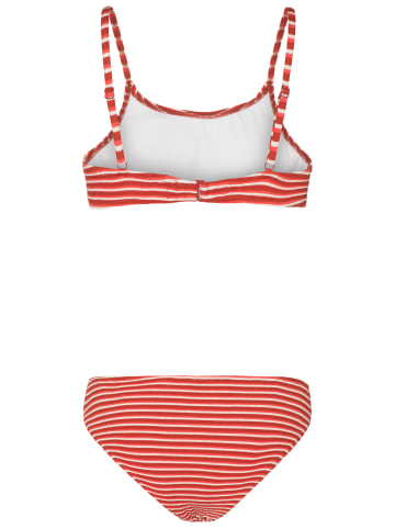 Protest " HAILEY in Clay