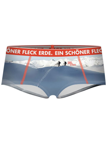 EIN SCHÖNER FLECK ERDE W ÜBERDOSIS GFÜHL PANTY in Grau