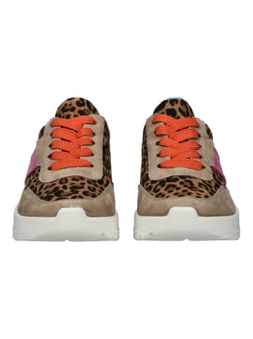 ara Sneaker in Beige