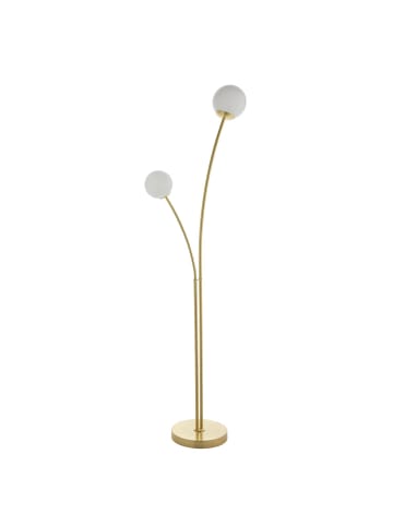 Licht-Erlebnisse Stehlampe (B)25 x (L)52 x (H)160.8 cm in Messing satiniert Weiß