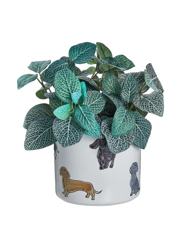 Butlers Blumenübertopf DOG LOVER Dackel in Beige