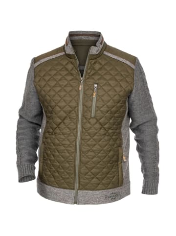 MADDOX Jacke WEICHELSEE-F002 in oliv