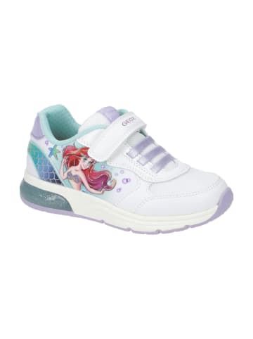 Geox Sportliche Schnürschuhe in Weiß