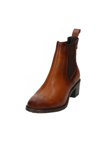 TT. BAGATT Stiefeletten in cognac