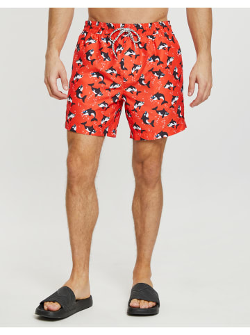 Threadbare Badehose THB Swim Short Killer Whale in rot