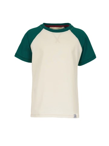 Band of Rascals T-Shirt " Raglan " in cream-racing-green