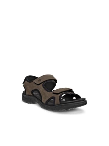 Ecco Sandale in braun