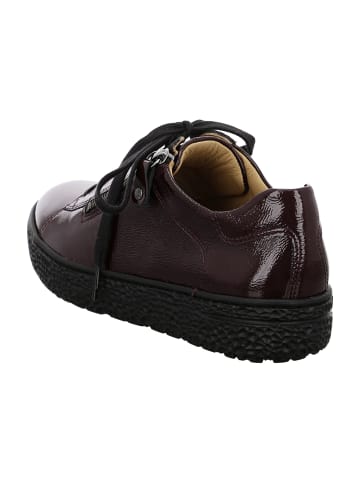 Hartjes Komfort Schnürschuhe in Rot